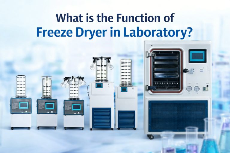 Laboratory-freeze-dryer