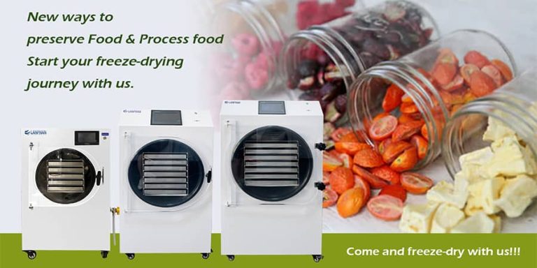 How much does a freeze dryer cost?