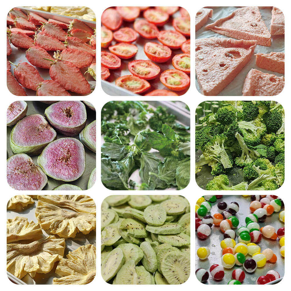 Freeze-Dried Foods Collection